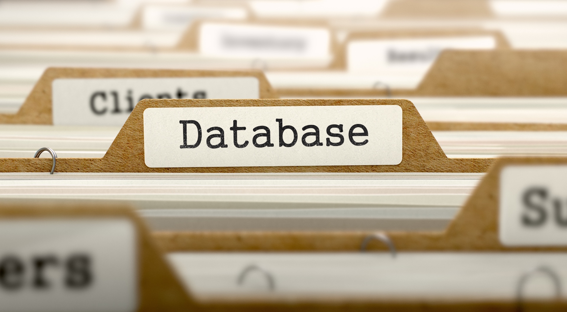 Microsoft Access Lösungen | VBA