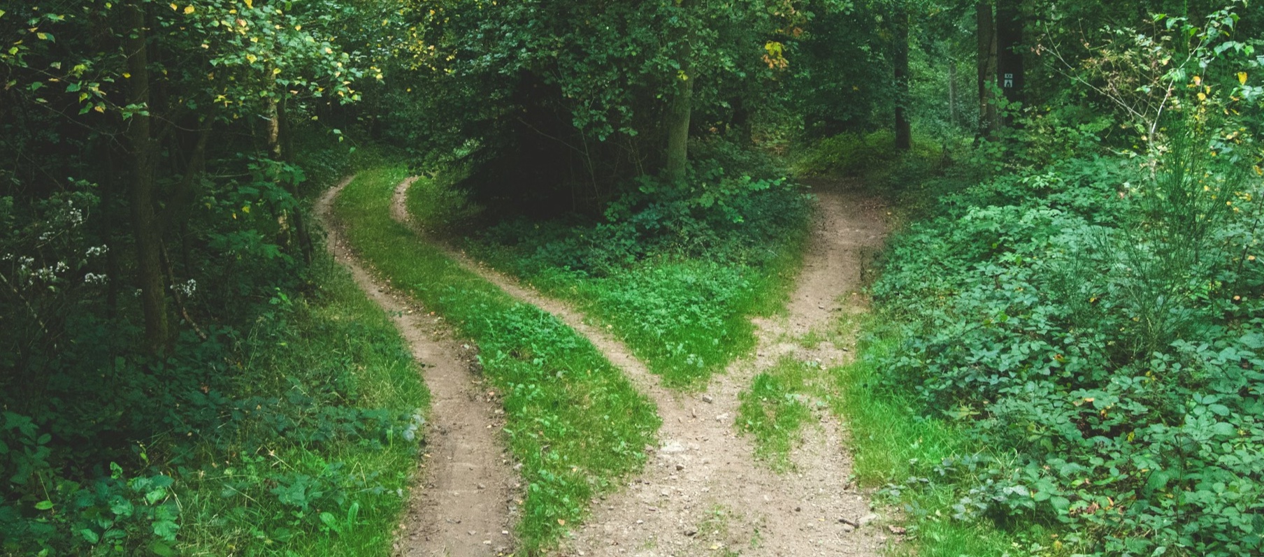 Oracle APEX vs. PHP/Laravel – welche Plattform für welches Projekt?