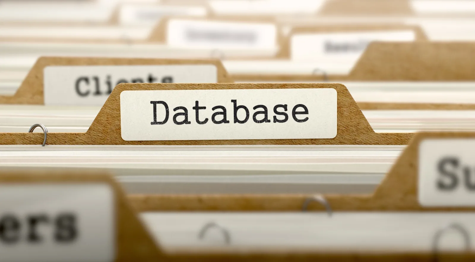 Microsoft Access Lösungen | VBA